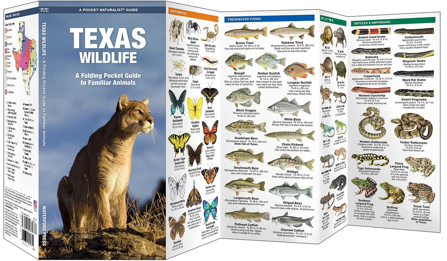 Texas Wildlife: An Introduction to Familiar Species (Pocket Naturalist Series)