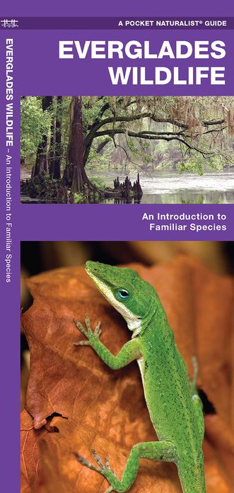 Everglades Wildlife: An Introduction to Familiar Species (Pocket Naturalist Series)