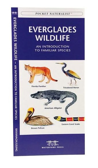 Everglades Wildlife: An Introduction to Familiar Species (Pocket Naturalist Series)