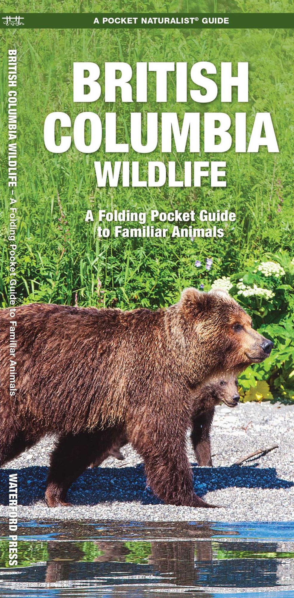 British Columbia Wildlife: An Introduction to Familiar Species