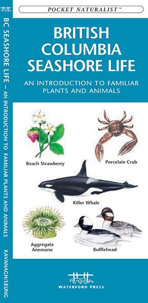 British Columbia Seashore Life: An Introduction to Familiar Plants and Animals