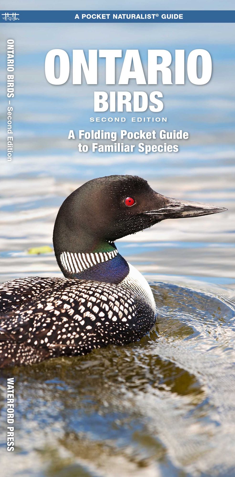Ontario Birds: An Introduction to Familiar Species