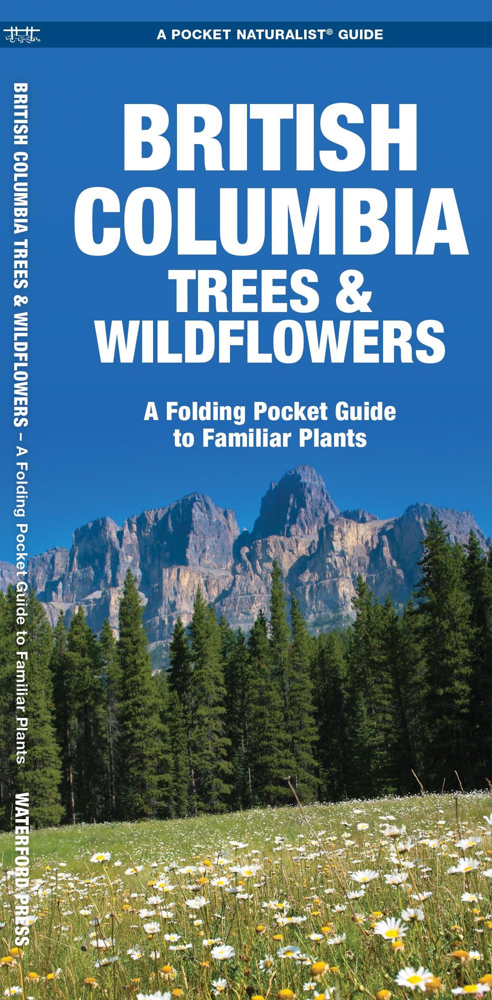 British Columbia Trees and Wildflowers: An Introduction to Familiar Plants