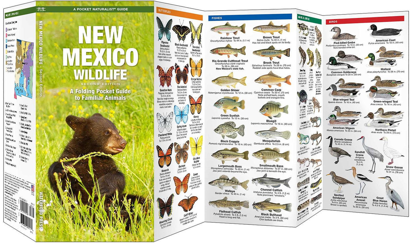 Pocket Naturalist Guide to New Mexico Wildlife: An Introduction to Familiar Species