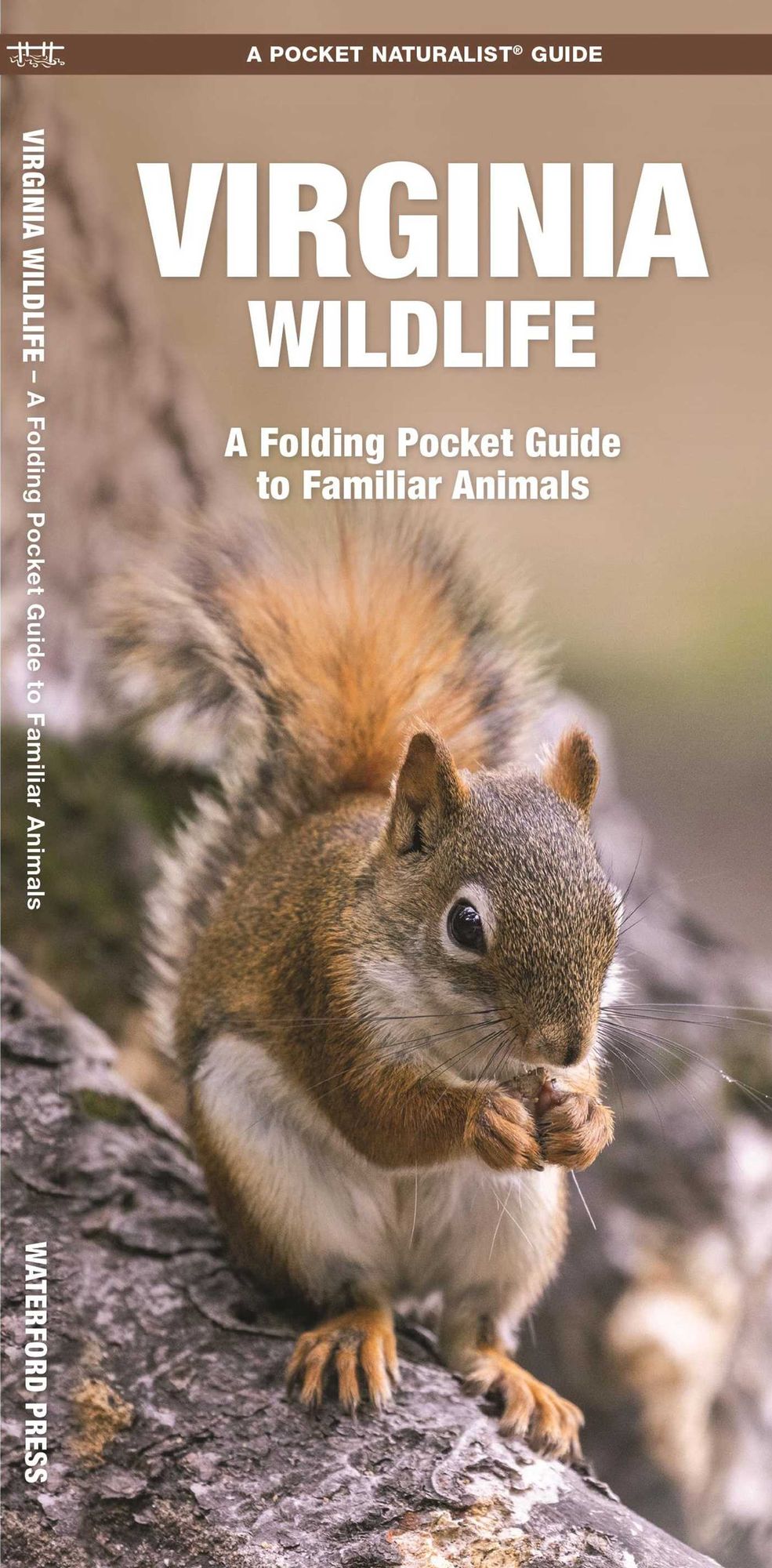 Virginia Wildlife: An Introduction to Familiar Species