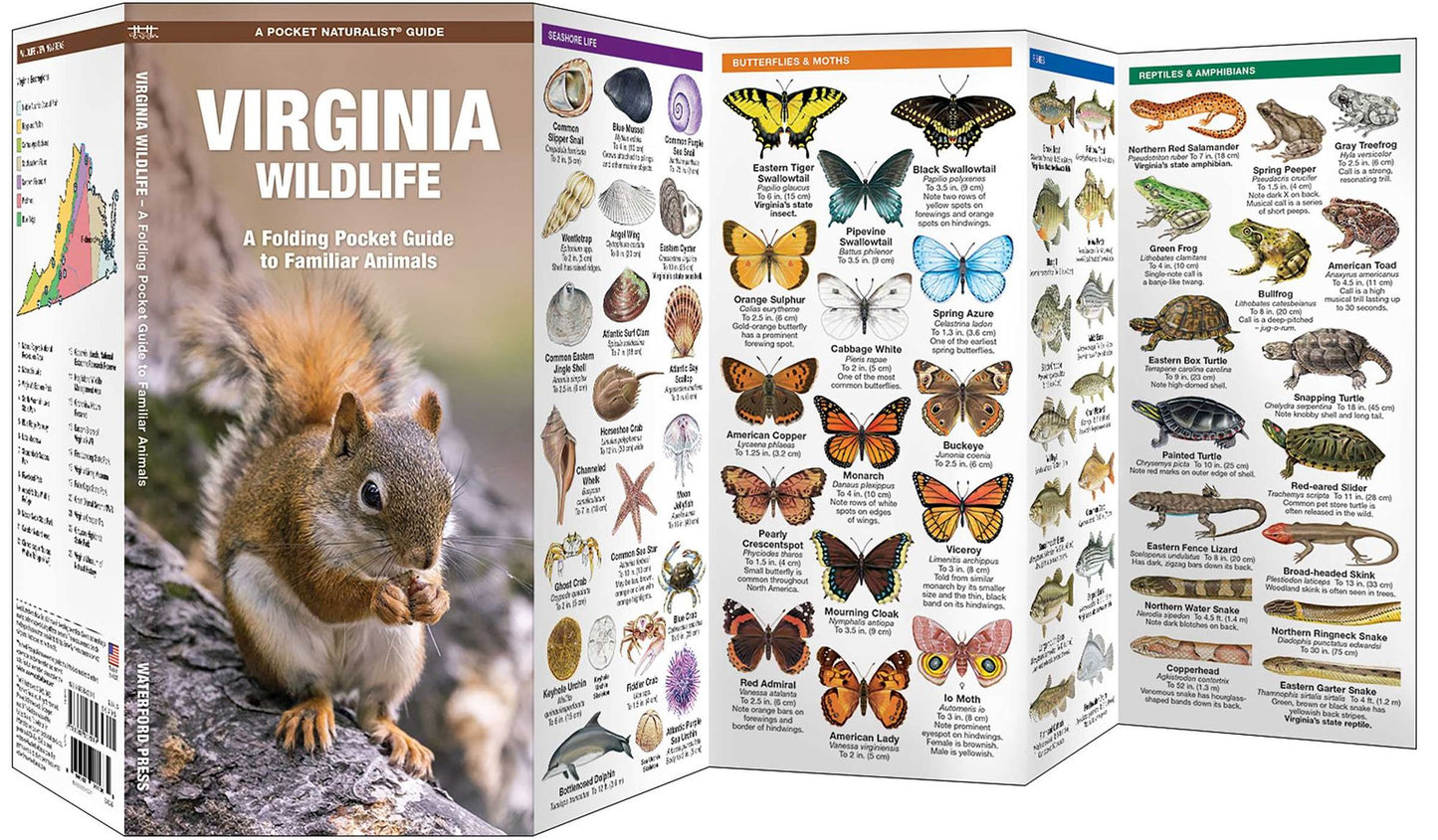 Virginia Wildlife: An Introduction to Familiar Species