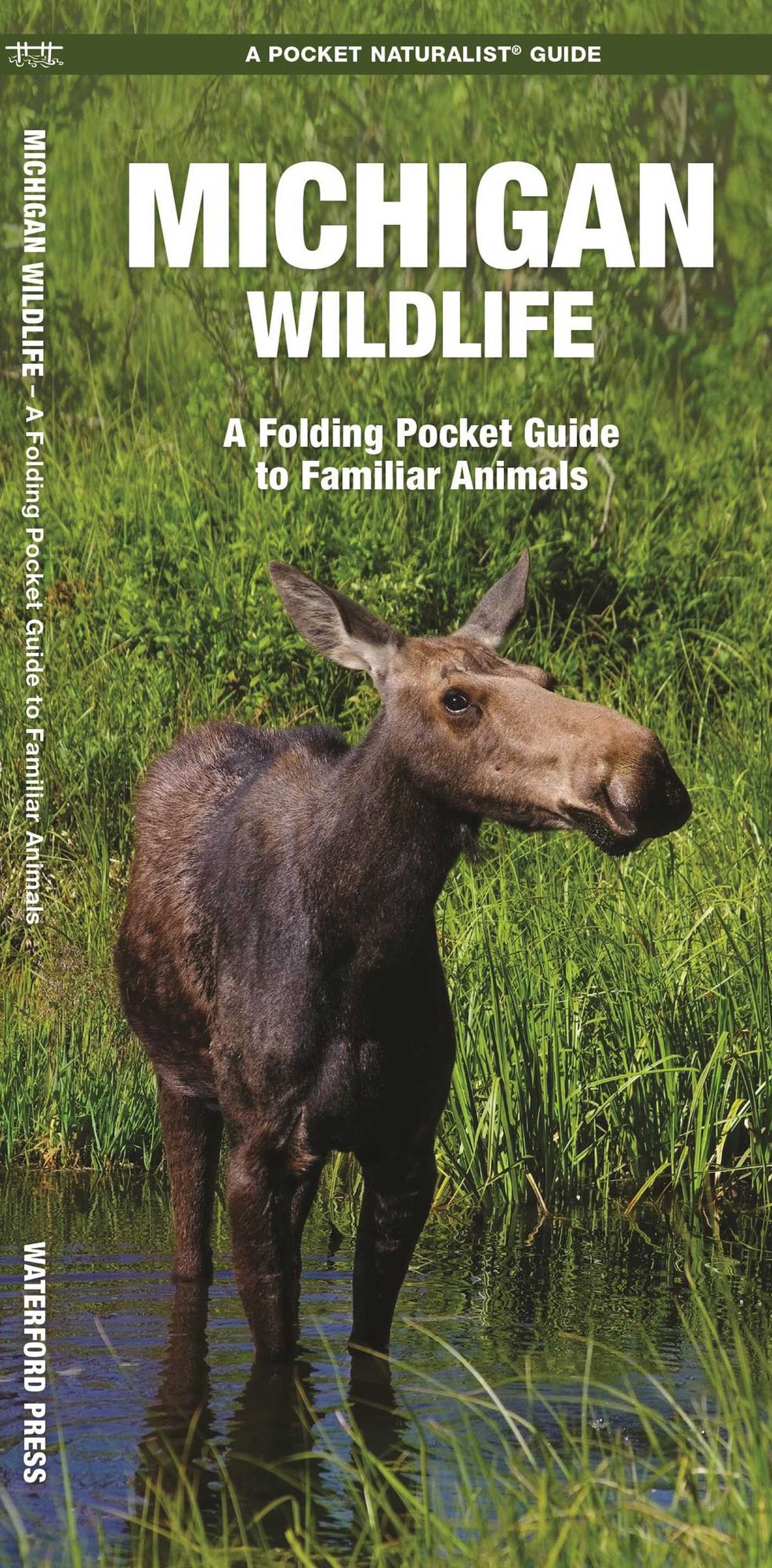 Michigan Wildlife: An Introduction to Familiar Species