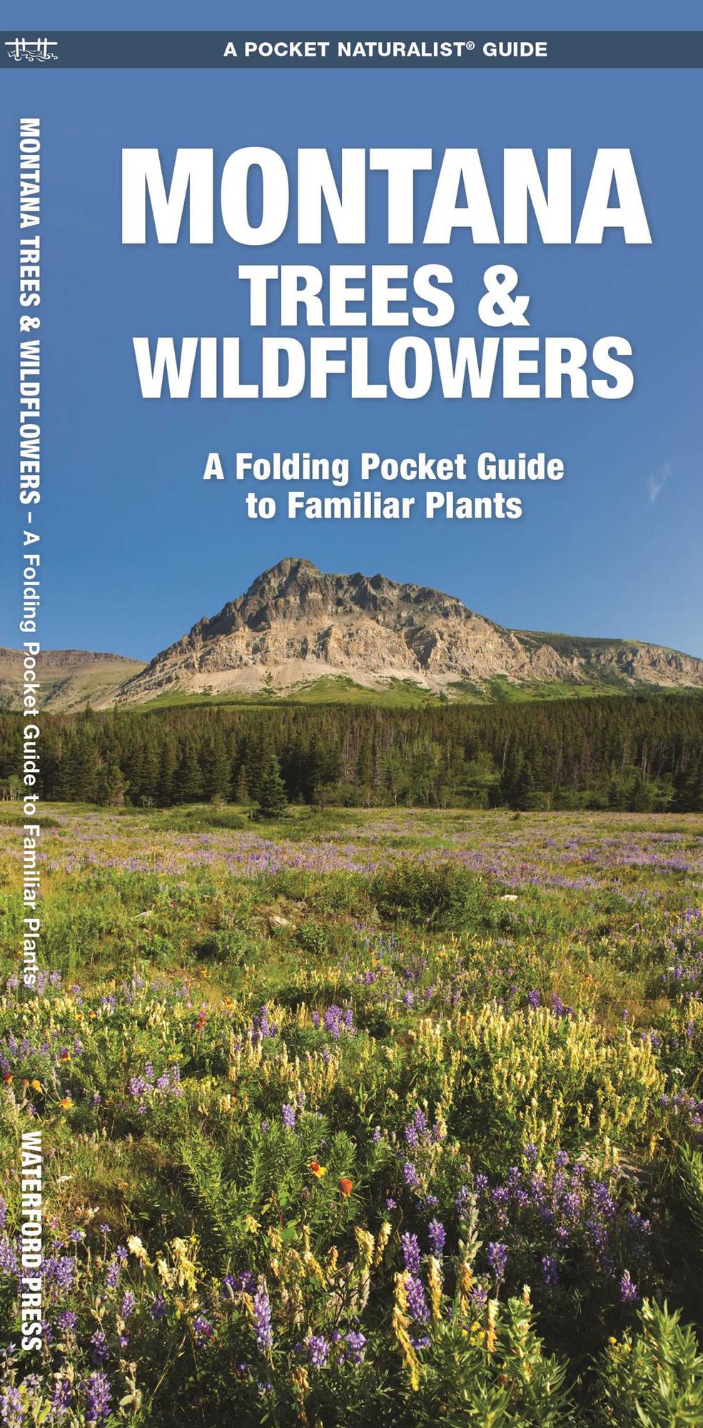 Montana Trees and Wildflowers: An Introduction to Familiar Species