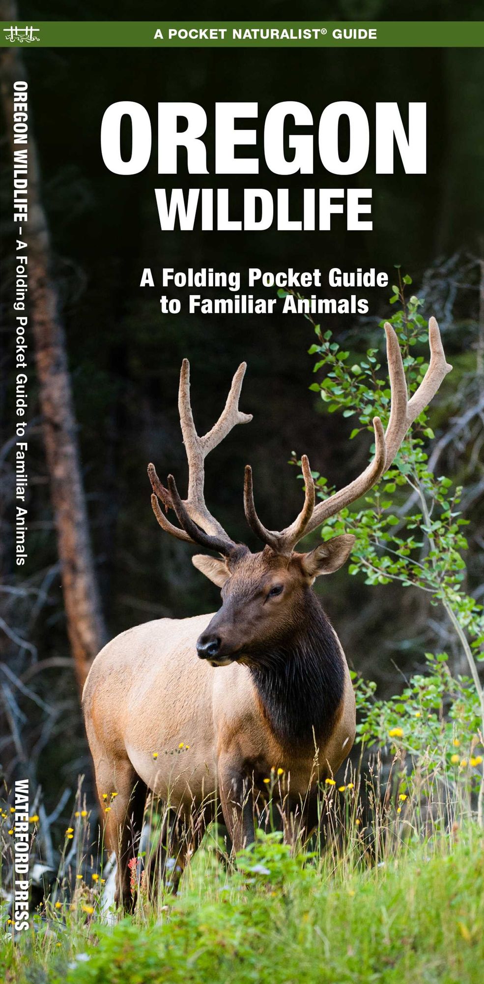Pocket Naturalist Guide to Oregon Wildlife: An Introduction to Familiar Species