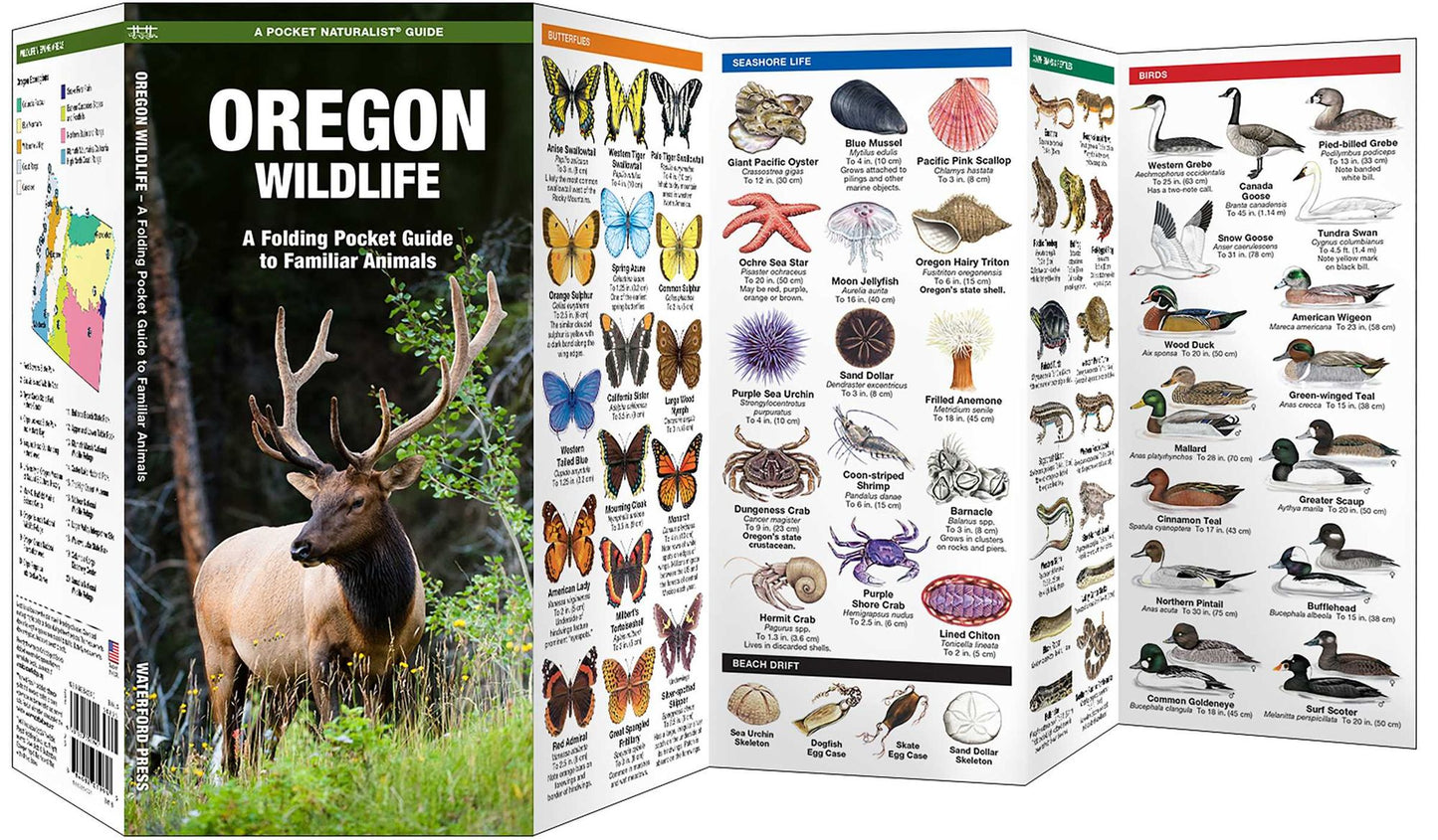 Pocket Naturalist Guide to Oregon Wildlife: An Introduction to Familiar Species