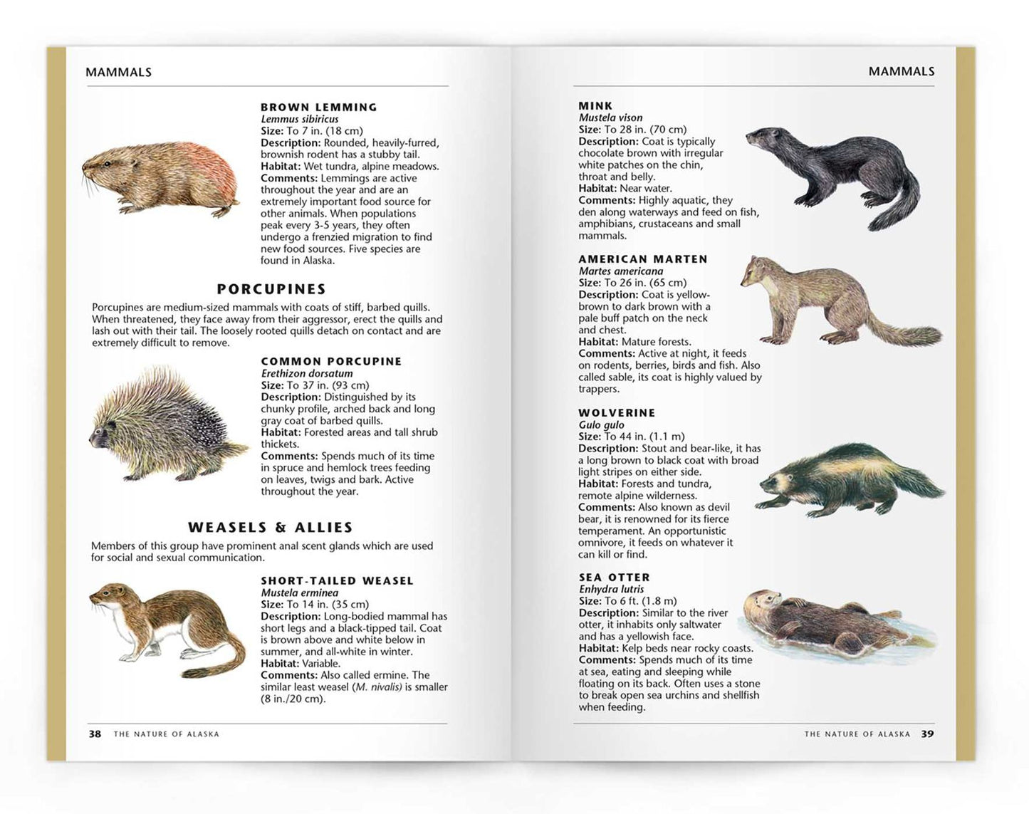 Nature of Alaska: An Introduction to Familiar Plants and Animals and Natural Attractions