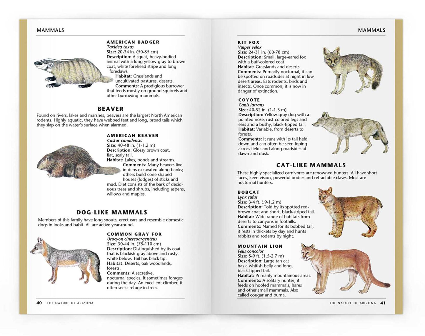 The Nature of Arizona: An Introduction to Familiar Plants and Animals and Natural Attractions