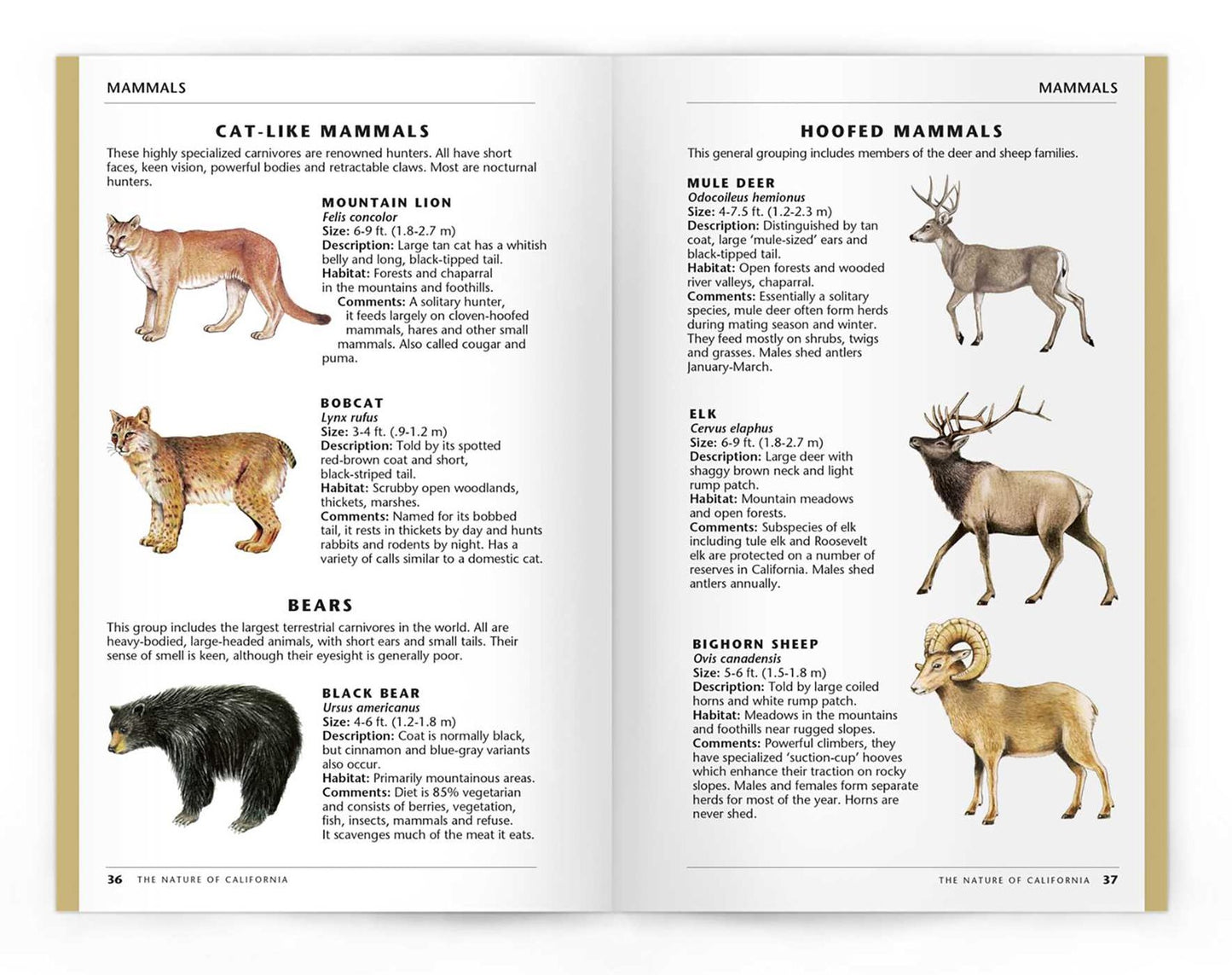 The Nature of California: An Introduction to Familiar Plants and Animals and Natural Attractions