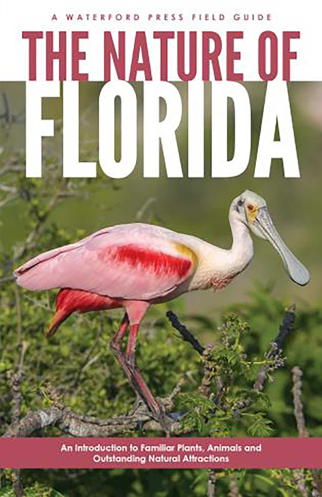 The Nature of Florida: An Introduction to Familiar Plants and Animals and Natural Attractions