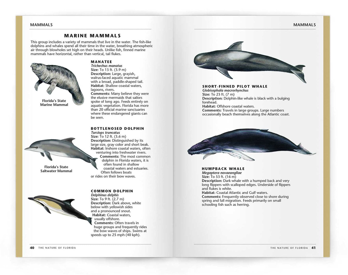 The Nature of Florida: An Introduction to Familiar Plants and Animals and Natural Attractions