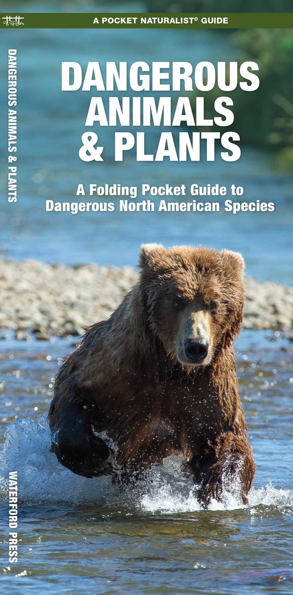 Dangerous Animals and Plants: An Introduction to Dangerous North American Species