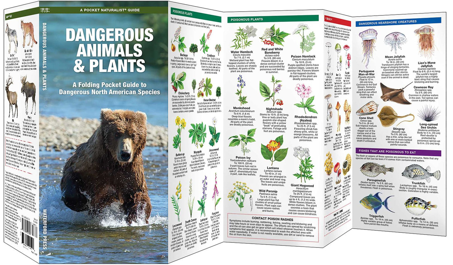 Dangerous Animals and Plants: An Introduction to Dangerous North American Species