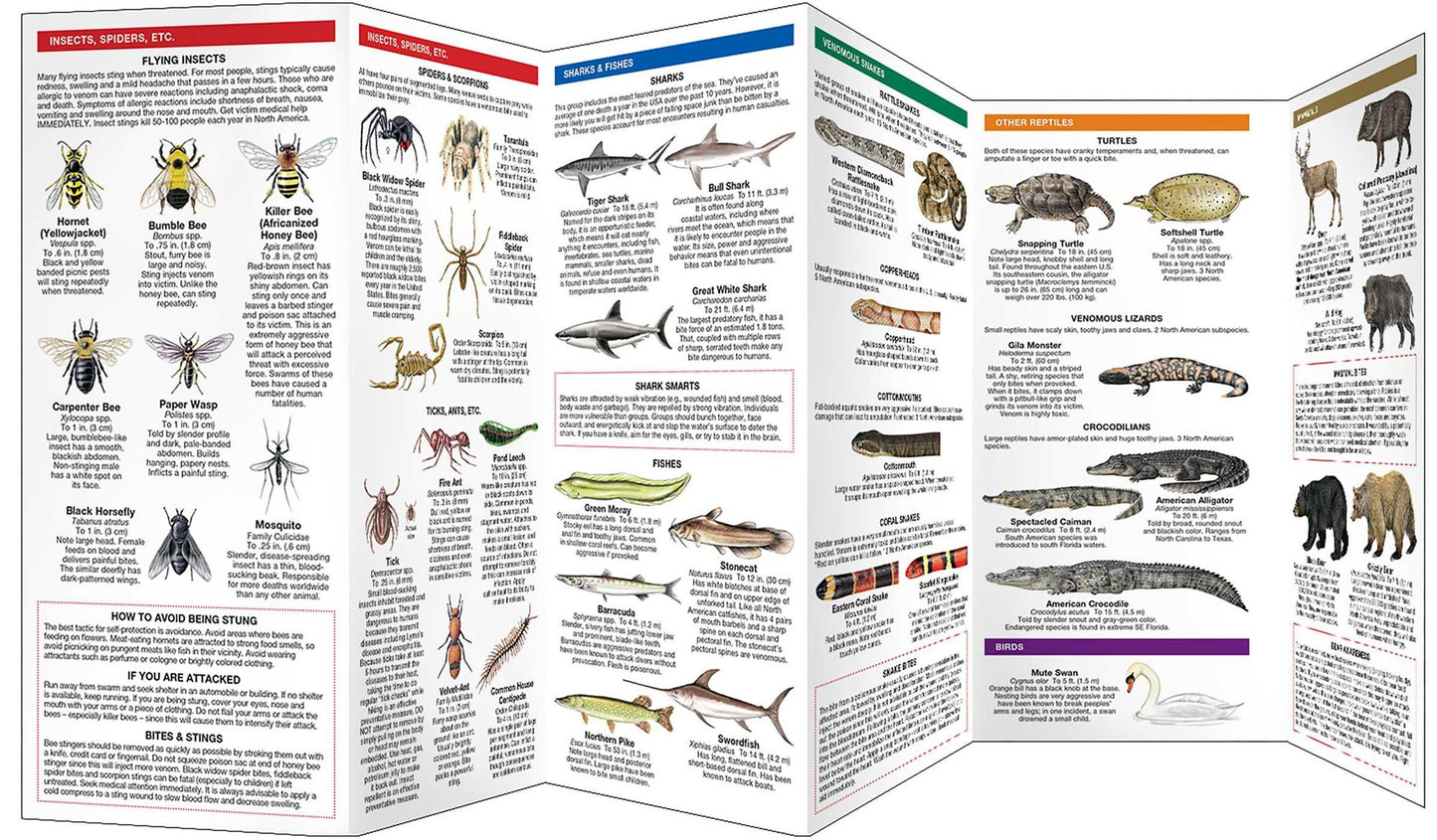 Dangerous Animals and Plants: An Introduction to Dangerous North American Species