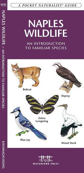 Naples Wildlife: An Introduction to Familiar Species of Naples, Florida