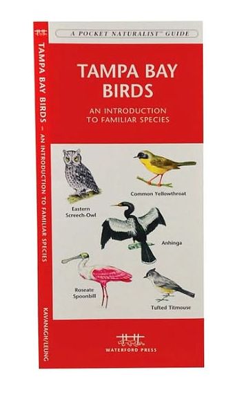 Tampa Bay Birds: An Introduction to Familiar Species of Tampa Bay, Florida