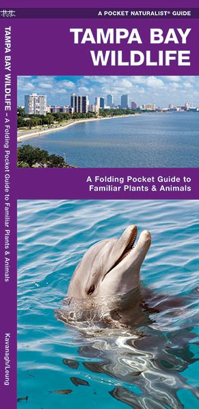 Tampa Bay Wildlife: An Introduction to Familiar Species of Marine Plants, Echinoderms, Mollusks, Crustaceans, Nearshore Fishes, Reptiles, Amphibians, and Marine Mammals