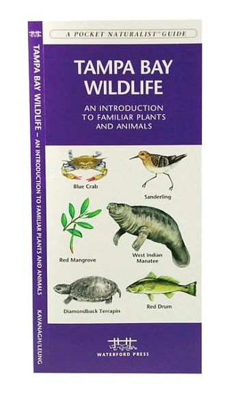 Tampa Bay Wildlife: An Introduction to Familiar Species of Marine Plants, Echinoderms, Mollusks, Crustaceans, Nearshore Fishes, Reptiles, Amphibians, and Marine Mammals