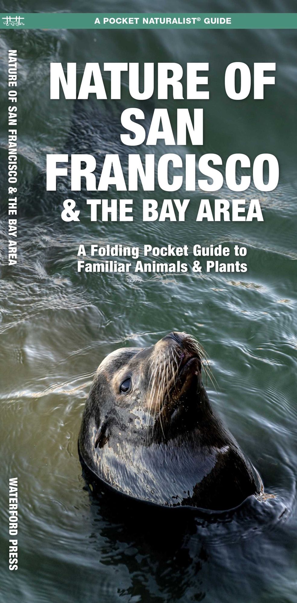 Nature of San Francisco and the Bay Area: An Introduction to Familiar Plants and Animals