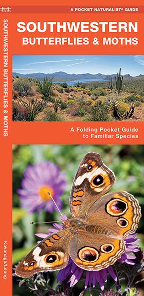 Pocket Naturalist Guide to Southwestern Butterflies: An Introduction to Familiar Species