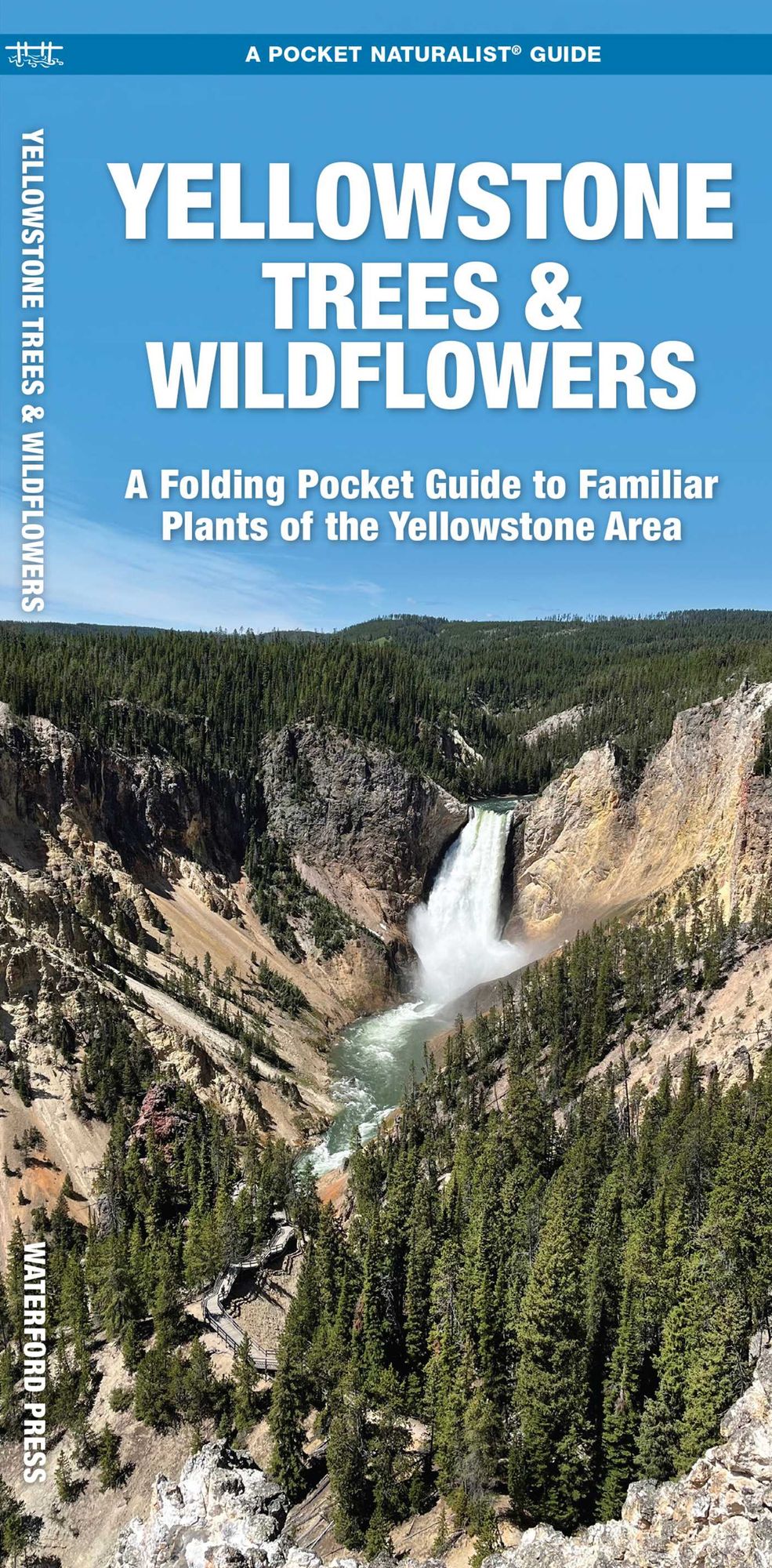 Yellowstone Trees and Wildflowers: An Introduction to Familiar Species of the Yellowstone Area