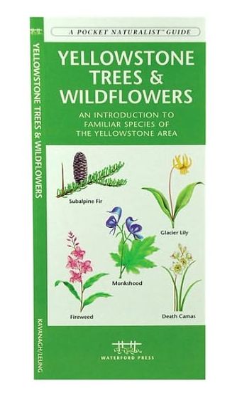 Yellowstone Trees and Wildflowers: An Introduction to Familiar Species of the Yellowstone Area