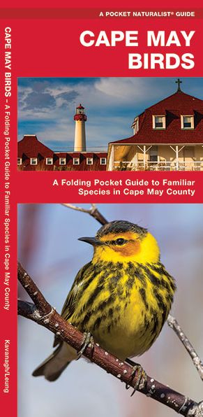 Cape May Birds: An Introduction to Familiar Species in Cape May County