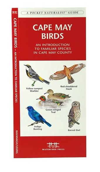Cape May Birds: An Introduction to Familiar Species in Cape May County