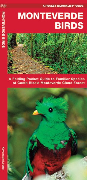 Monteverde Birds: An Introduction to Familiar Species in Costa Rica's Monteverde Region