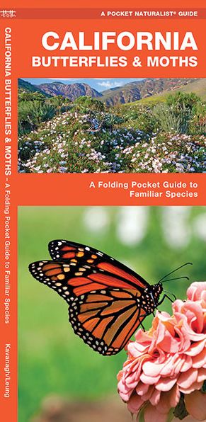 California Butterflies and Moths: An Introduction to Familiar Species
