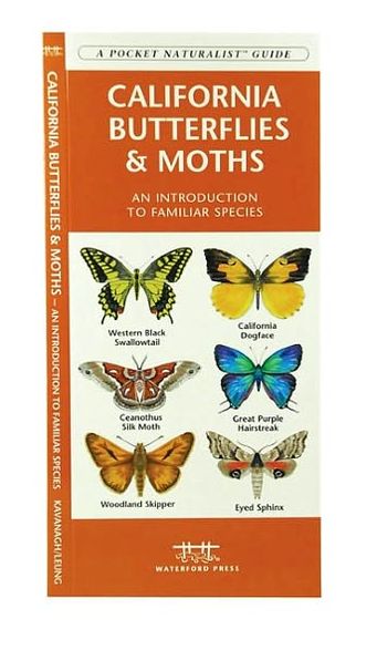 California Butterflies and Moths: An Introduction to Familiar Species