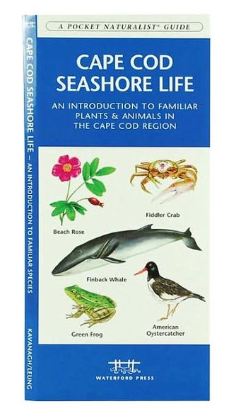 Cape Cod Seashore Life: An Introduction to Familiar Plants and Animals in the Cape Cod Region (Pocket Naturalist Series)