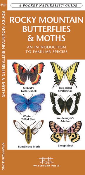 Rocky Mountain Butterflies and Moths: An Introduction to Familiar Species (Pocket Naturalist Series)