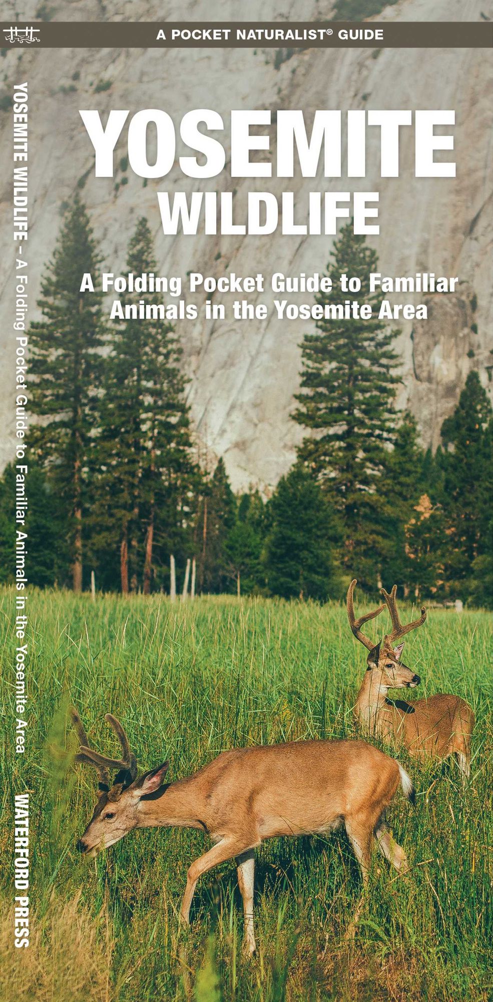 Pocket Naturalist Guide to Yosemite Wildlife: An Introduction to Familiar Species of the Yosemite Area