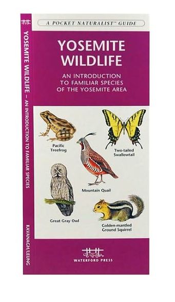 Pocket Naturalist Guide to Yosemite Wildlife: An Introduction to Familiar Species of the Yosemite Area