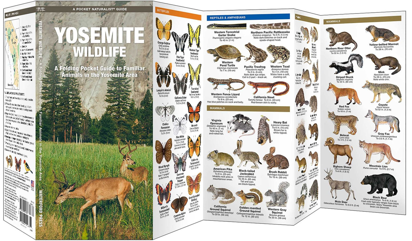 Pocket Naturalist Guide to Yosemite Wildlife: An Introduction to Familiar Species of the Yosemite Area