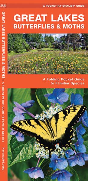 Great Lakes Butterflies and Moths: An Introduction to Familiar Species (A Pocket Naturalist Guide Series)