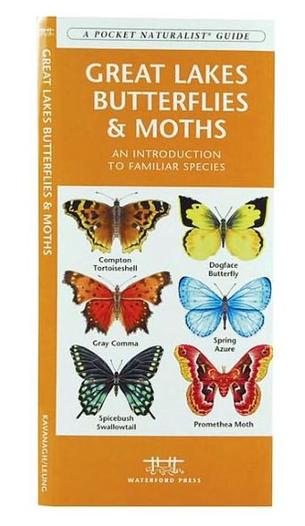 Great Lakes Butterflies and Moths: An Introduction to Familiar Species (A Pocket Naturalist Guide Series)