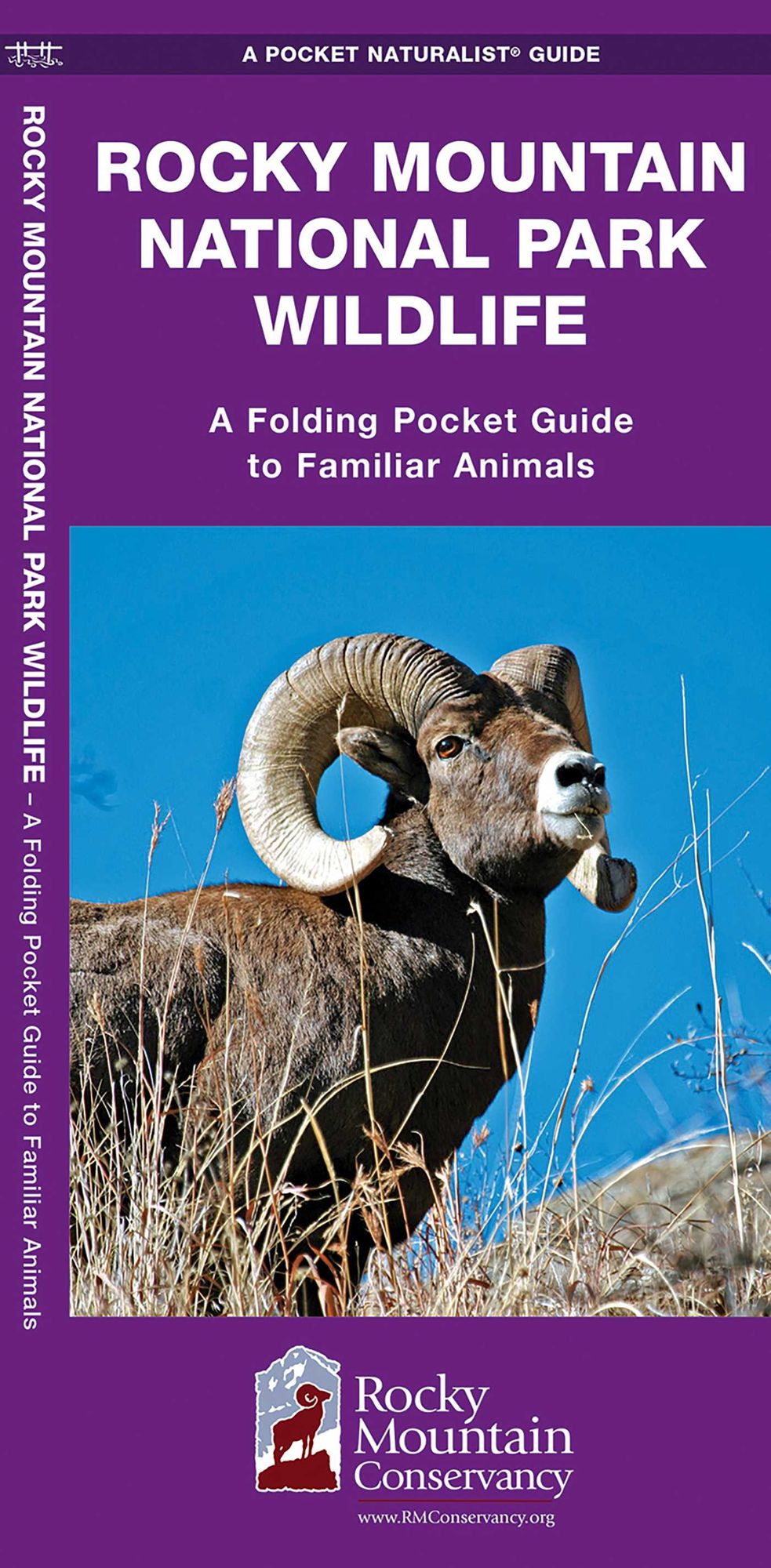 Rocky Mountain National Park Wildlife: An Introduction to Familiar Species