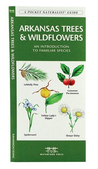 Arkansas Trees and Wildflowers: An Introduction to Familiar Species (Pocket Naturalist - Waterford Press)