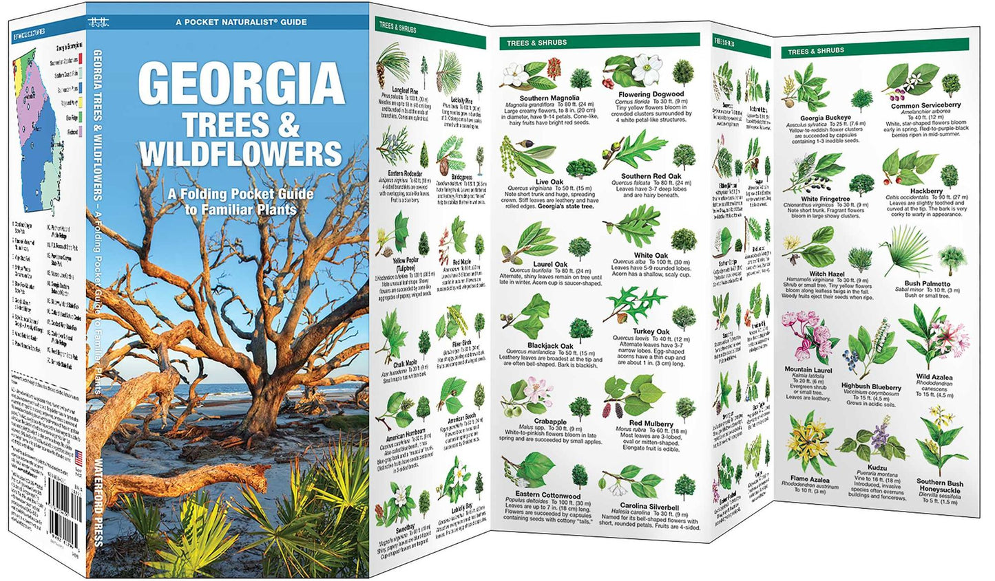 Georgia Trees and Wildflowers: An Introduction to Familiar Species (Pocket Naturalist - Waterford Press Series)