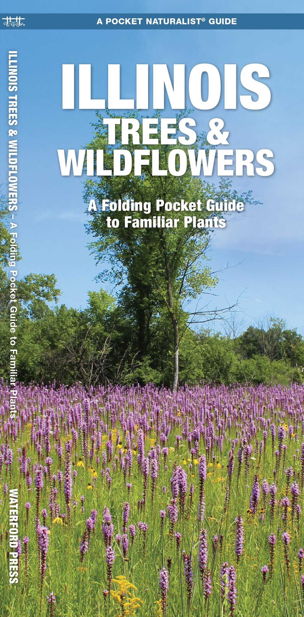 Illinois Trees and Wildflowers: An Introduction to Familiar Species (A Pocket Naturalist Guide Series)