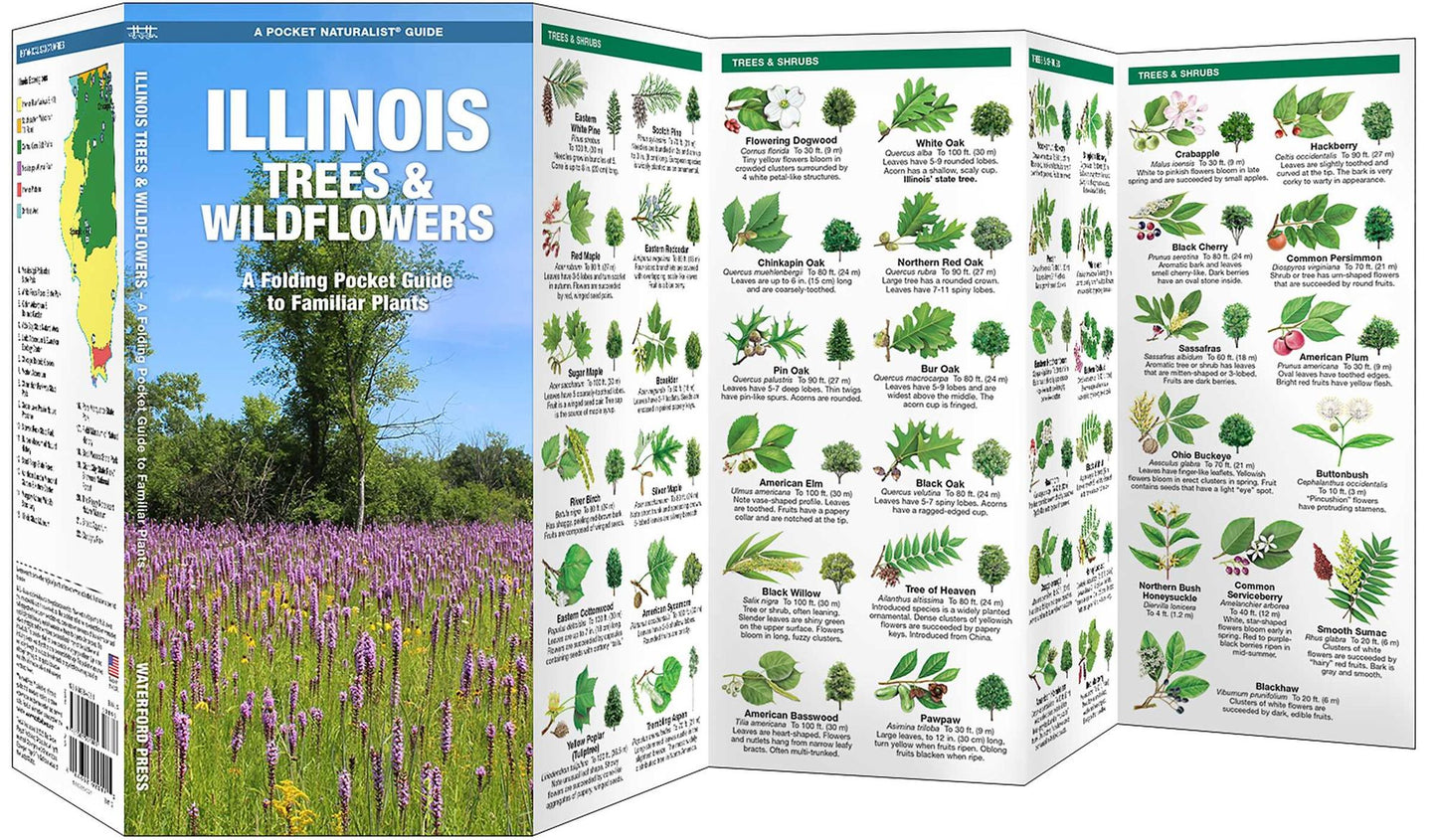 Illinois Trees and Wildflowers: An Introduction to Familiar Species (A Pocket Naturalist Guide Series)