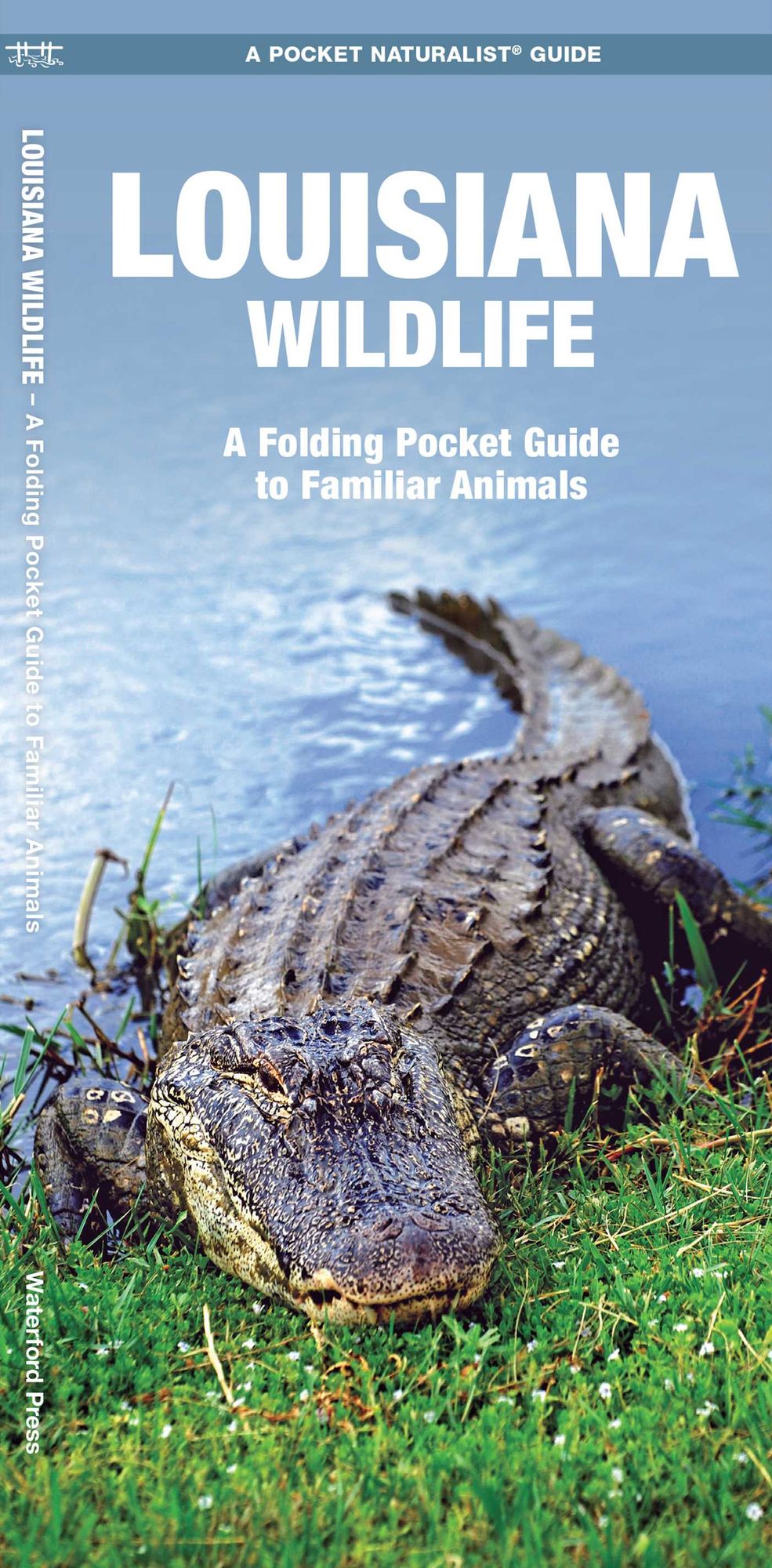 Louisiana Wildlife: An Introduction to Familiar Species