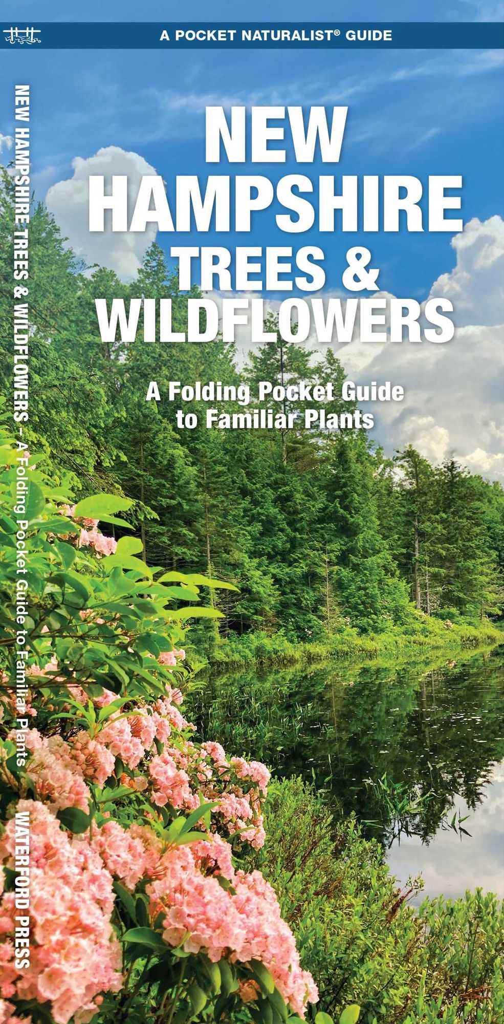 New Hampshire Trees & Wildflowers: An Introduction to Familiar Species