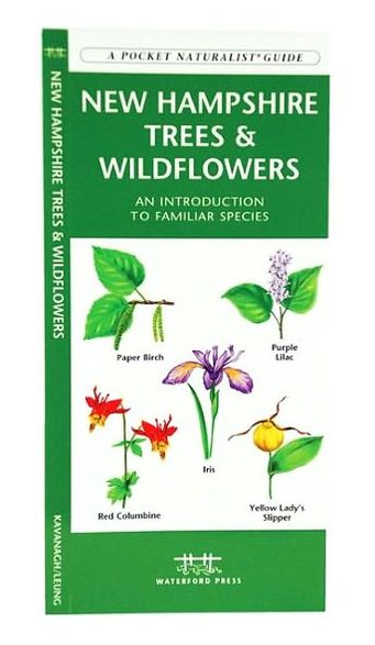 New Hampshire Trees & Wildflowers: An Introduction to Familiar Species